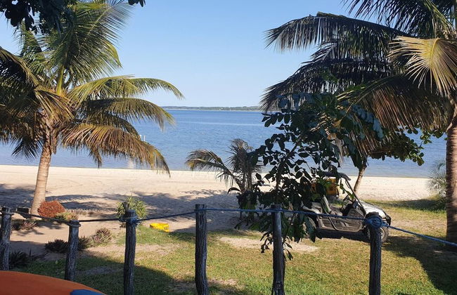 Log Cabin On And Overlooking a 9km Lagoon - Photo 23