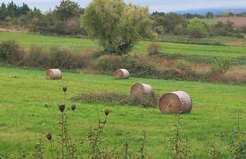 Gite L'hirondelle en Auvergne - Photo 5