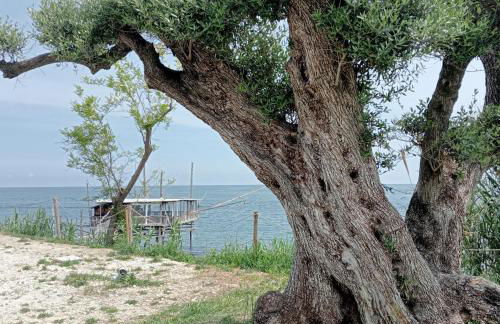 Casa vacanze Arcobaleno - Foto 66