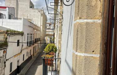 El Buen Porvenir Casa Palacio en Jerez - Foto 9