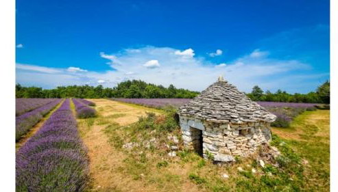 Villa Maya by Villas Guide - Foto 4, Other