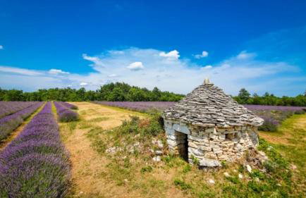 Villa Maya by Villas Guide - Foto 4