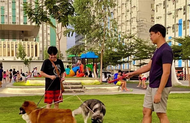 Pandora's Nest - Foto 68