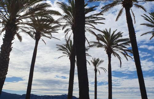 Ampuries Delta Apartment - Foto 32