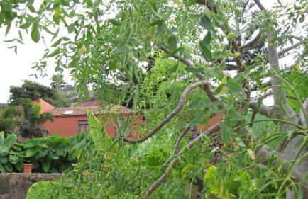 Haciendas del Valle - Las Kentias - Foto 41