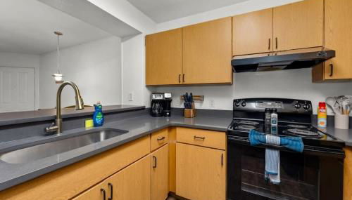 2 MI to USF Pet Friendly & Budget Friendly - Foto 4