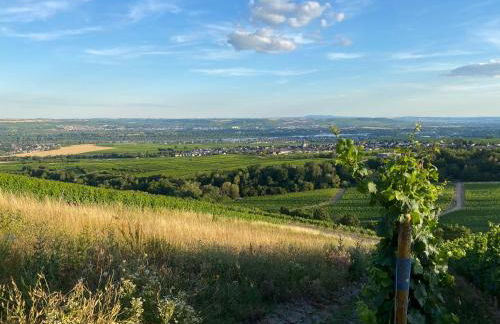 BALTHASAR RESS Guesthouse am Rebhang im Rheingau - Foto 26