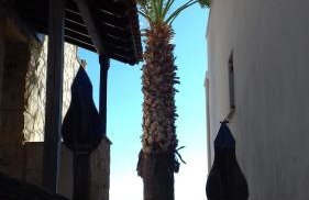 Aegean Blue Studios - Foto 24