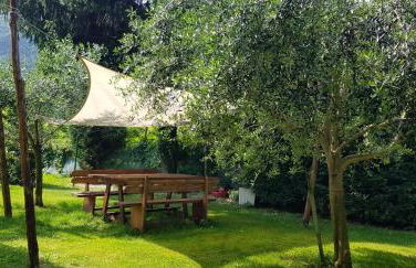 Agritur Girasole - Foto 21