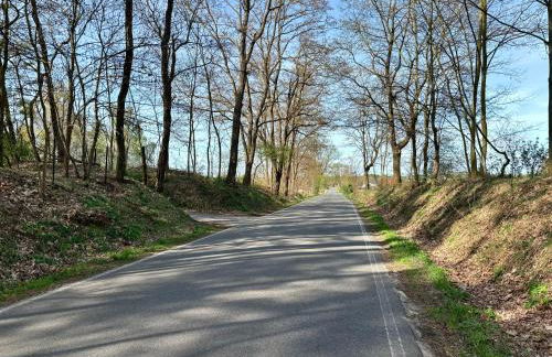Bungalow-Jessern Ferienhaus im Grünen mit Seeblick - Foto 45
