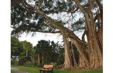 Dog friendly condo with beach access, hot tub, firepit - Foto 76