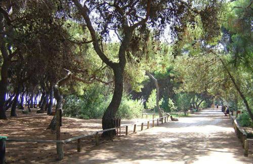 Pine Breeze Apartment - Foto 17