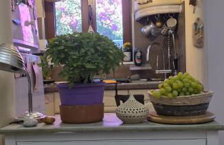 Peace&love-sea studio - Photo 52