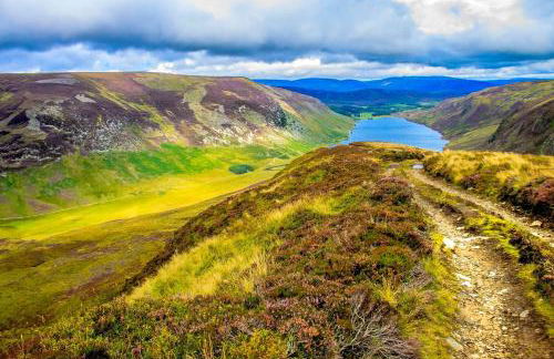 Osprey Apartment - Foto 47