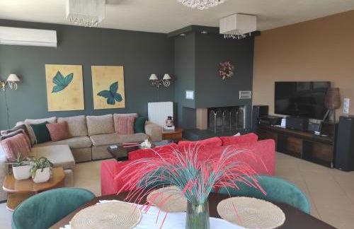 Stella Rossa - Foto 22