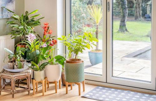 4 Bed in Bishopston oc-t34163 - Foto 15