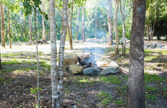 Airlie Beach Eco Cabins - Adults only - Photo 77