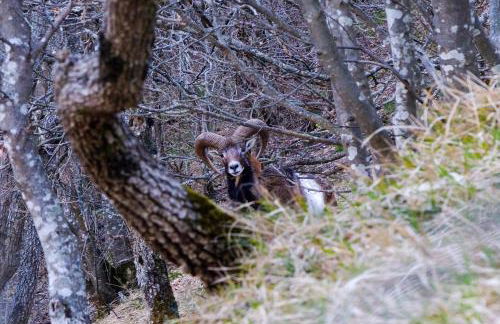 MANSARDA VITI - Sguardo su Frontone - - Foto 46