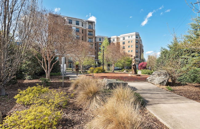 Kasa Dilworth Charlotte - Foto 42