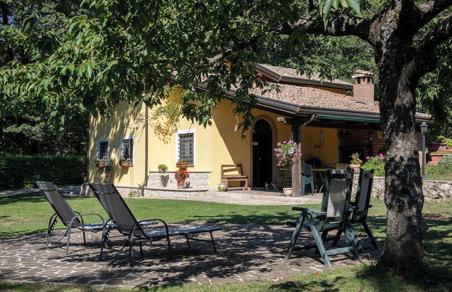 Giardino Boschivo - Foto 12