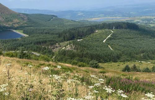 Herbert Place - Foto 44