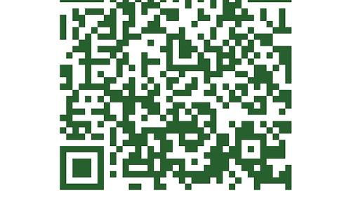 Stellahouse - Awesome Maine Treehouse - Foto 4