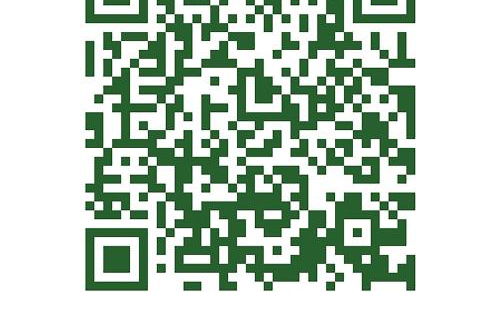 Stellahouse - Awesome Maine Treehouse - Foto 4