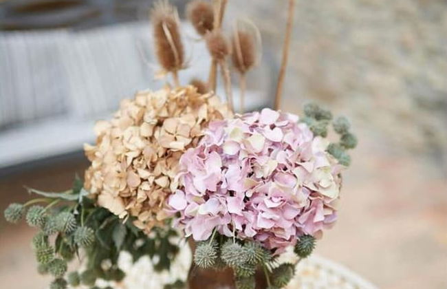 B&B Virano19 - Foto 39