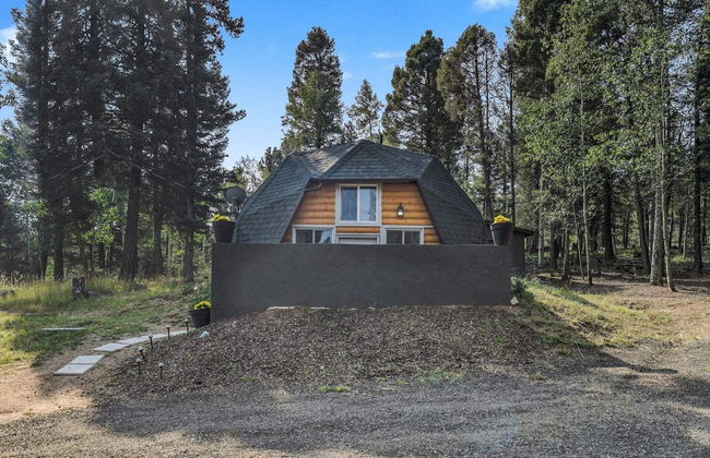 Crystal Cabin Pikes Peak Mountain w/ Wine Cellar - Foto 48
