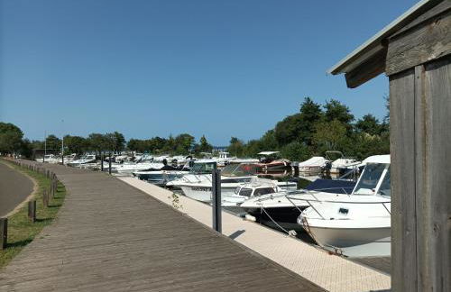 Grande maison entre Lac et forêt - Foto 59