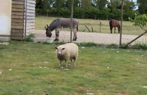 Gîte Isatis - Photo 9