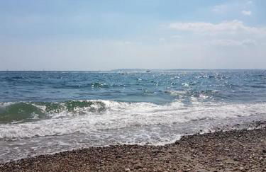 Horizon View - Photo 50