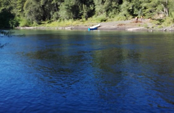 Cabaña Rústica 2 Maravillosa,con Troncos Nativos, con Orilla de Río Trancura - Foto 53