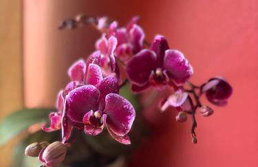 Villa Torres - Foto 4