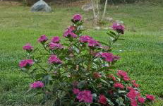 Hotel Geromichalos - Foto 62