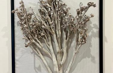 Apartamenty Kamienica Arte 4 - Foto 24