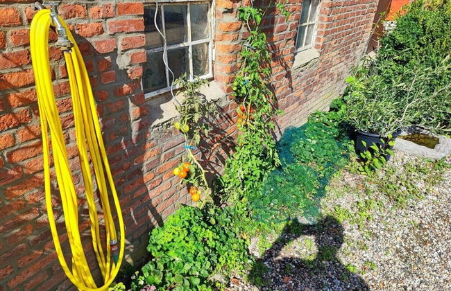 in the Countryside Modern Retreat - Foto 33