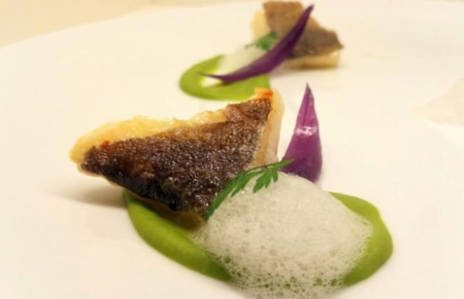 Tenuta Esdra - Foto 52