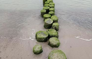 Ferienwohnung Milow - Foto 35