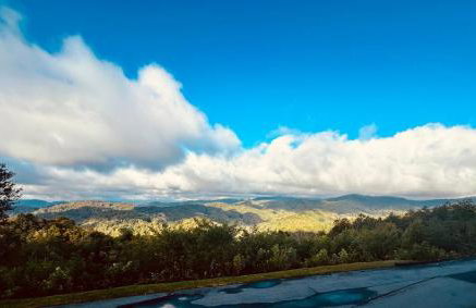 Appalachian Hideaway - Foto 64