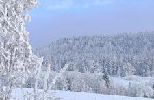 APARTAMENTY z GÓRSKIM KLIMATEM - Foto 73