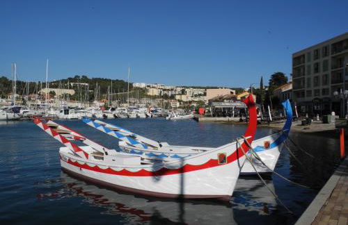 Petite étoile de Mer - Studio hyper équipé à 150m d'une plage de sable fin grande terrasse presqu'île de charme - Photo 75