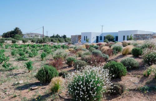 Bracket House Paros - Photo 28