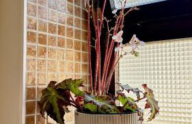 Cobalto 2 Quartos Parque Cidade Pet Friendly - Foto 14