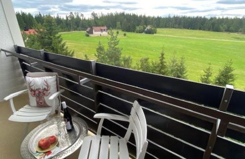 Ferienwohnung Schwarzwald Oase Kniebis - Foto 5