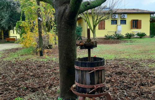 Agriturismo Podere Bedin - Foto 31