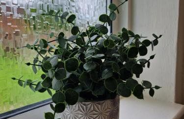 The Firs - 3 Bed Bungalow with parking - Foto 16