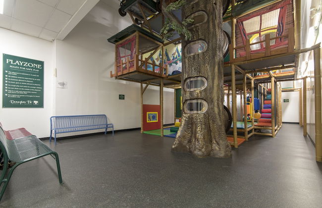 Douglas Fir Resort and Chalets - Photo 32