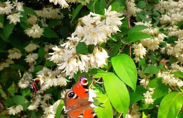 Borgo Castelluccio Country House - Foto 64