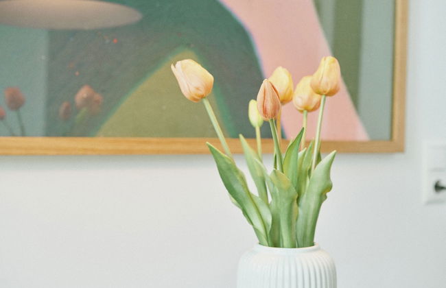 The Forest apartments by Daniel&Jacob’s - Photo 40